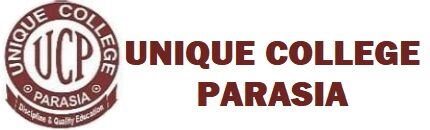 Unique College, Parasia M.P.